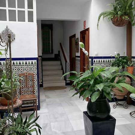 Apartamento Centro De קדיז מראה חיצוני תמונה